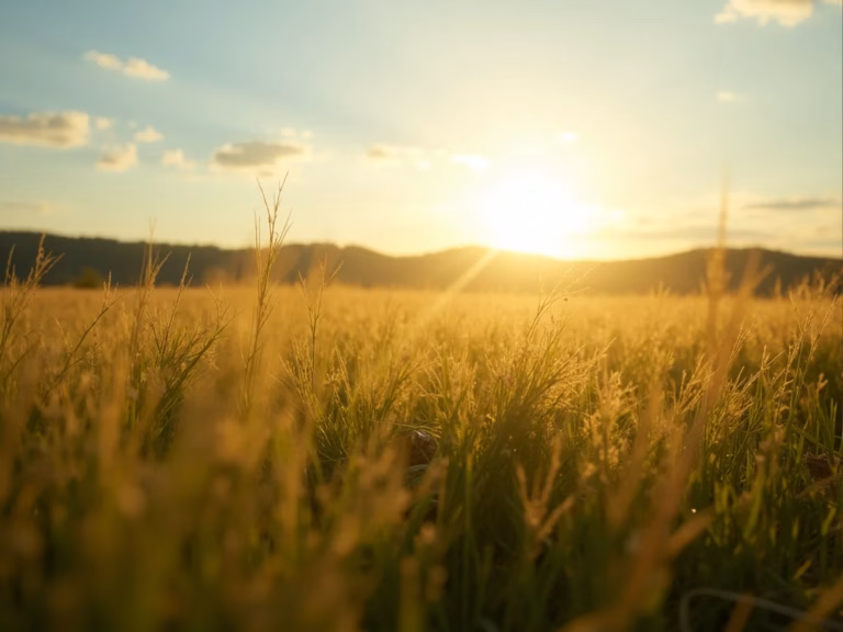 Campos Personalizados WordPress: Domine em 2026